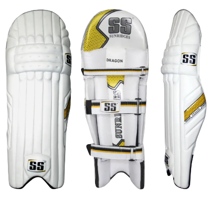 SS Dragon Batting Legguards