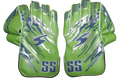 SS Catcher Wicket-Keeping Gloves