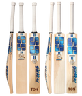 SS Gunther English Willow Cricket Bat (Set of 2)
