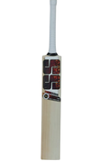 SS Player English Willow Cricket Bat