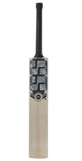 SS Premium Silver 3.0 Kashmir Willow Cricket Bat