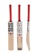 SS Ranger Kashmir Willow Cricket Bat