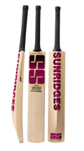SS Vintage Platinum Kashmir Willow Cricket Bat
