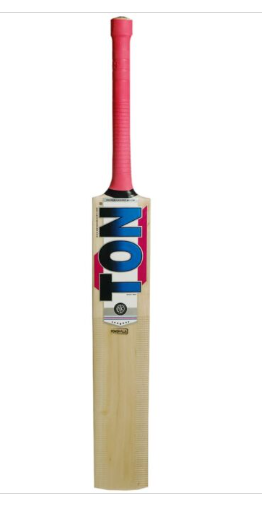 TON Power Plus Kashmir Willow Cricket Bat