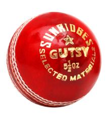 SS Gutsy Leather Ball