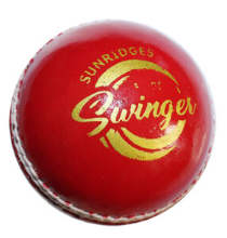SS Swinger Leather Ball