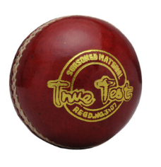 SS True Test Leather Ball (Two-Piece)