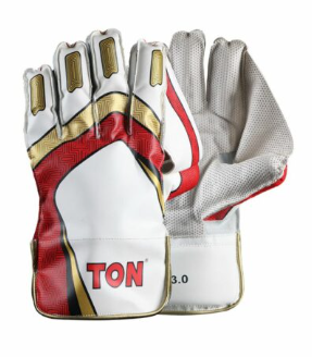 SS TON Pro 3.0 Wicket-Keeping Gloves