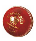 Gray-Nicolls GN7 Super Test Leather Ball