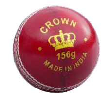Gray-Nicolls Crown T20 Leather Ball