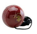 Gray-Nicolls Batting Master Leather Hanging Ball