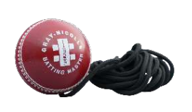 Gray-Nicolls Batting Master PVC Hanging Ball