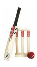 Gray-Nicolls Mini Cricket Set