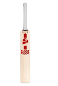 SG Sunny Tonny Arc 2.0 English Willow Bat