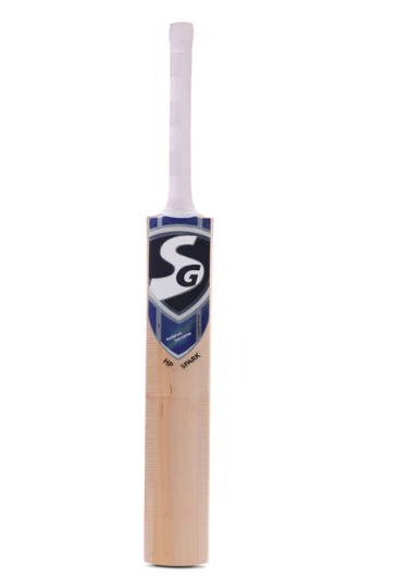 SG HP Spark Kashmir Willow Bat