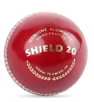 SG Shield 20 Leather Ball