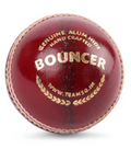 SG Bouncer Leather Ball