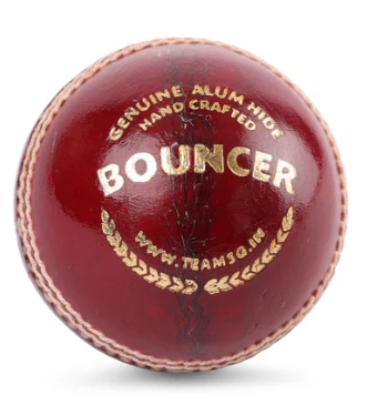 SG Bouncer Leather Ball