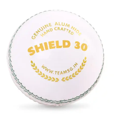 SG Shield 30 Leather Ball