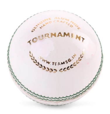 SG Tournament Leather Ball