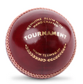 SG Tournament Leather Ball