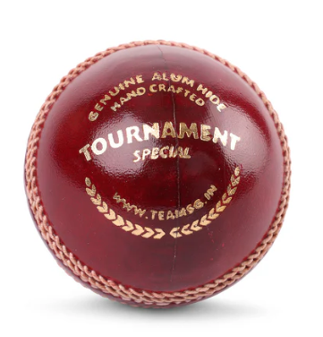 SG Tournament Special Leather Ball
