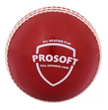SG Prosoft Ball