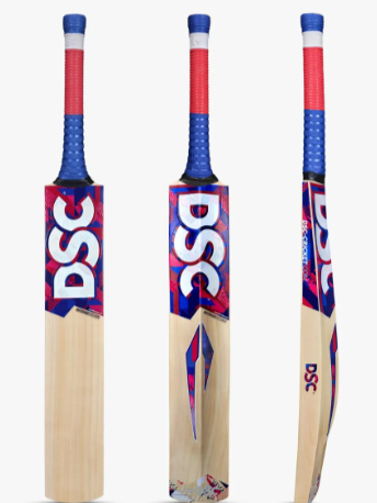 DSC Intense Spirit Kashmir Willow Bat