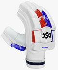 DSC Tornado Batting Gloves