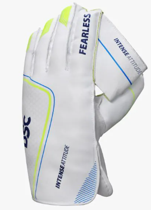 DSC Attitude Wicket Keeping Gloves