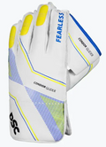DSC Glider Wicket Keeping Gloves
