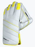DSC Flite Wicket Keeping Gloves