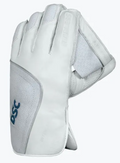 DSC Pro Wicket Keeping Gloves