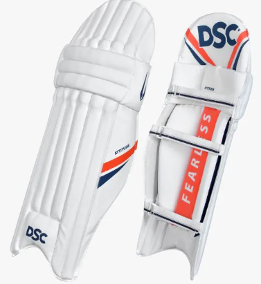 DSC Attitude Batting Legguards
