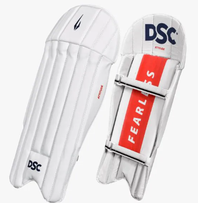 DSC Attitude Wicket Keeping Legguards