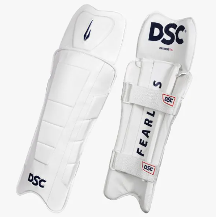 DSC Pro Wicket Keeping Legguards
