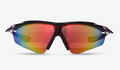 DSC Passion Polarized Sunglasses
