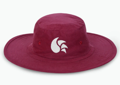 DSC Surge Cricket Hat