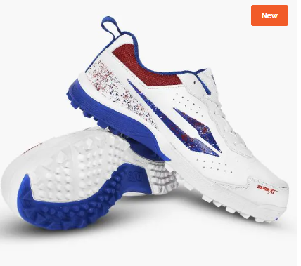DSC Zooter XT Cricket Rubber Studs Shoes