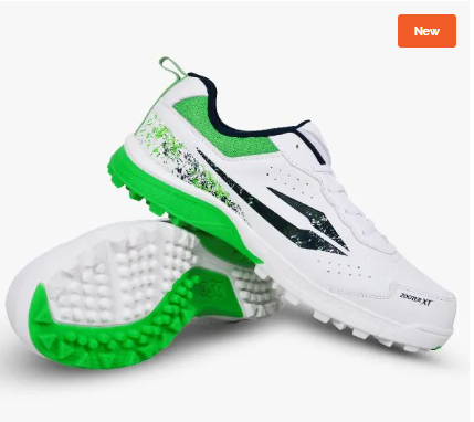 DSC Zooter XT Cricket Rubber Studs Shoes