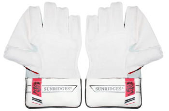 SS Dragon Wicket-Keeping Gloves