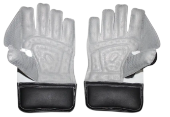 SS Academy Wicket-Keeping Gloves