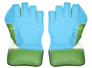 SS Catcher Wicket-Keeping Gloves