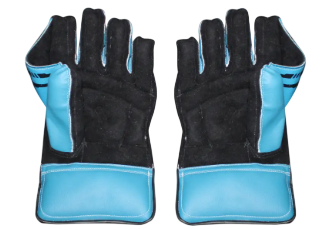 SS College Wicket-Keeping Gloves